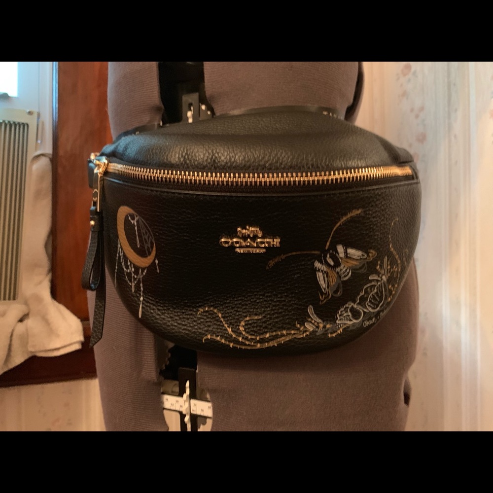 Coach x Chelsea moth moon spooky fanny pack